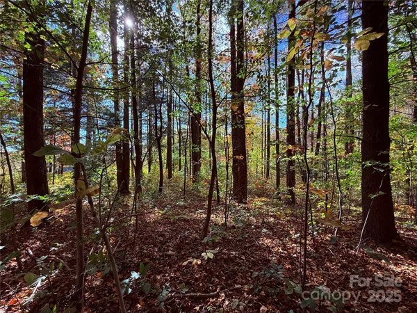 a view of outdoor space with lots of trees