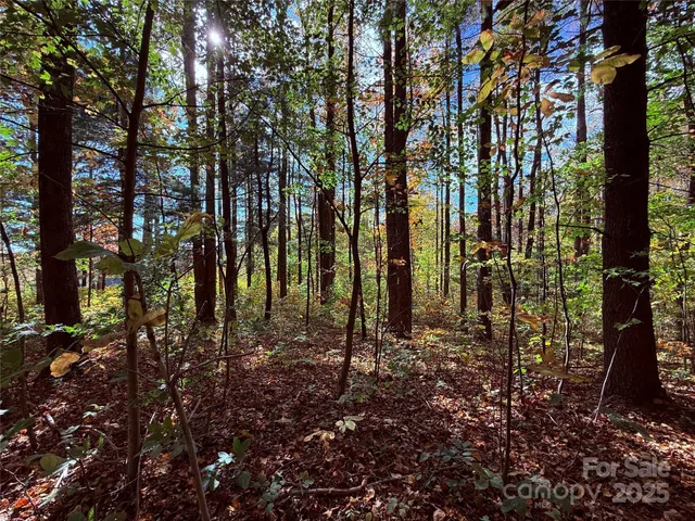 a view of outdoor space with lots of trees