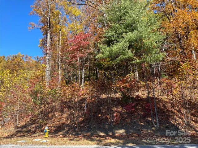 a view of a house with a tree