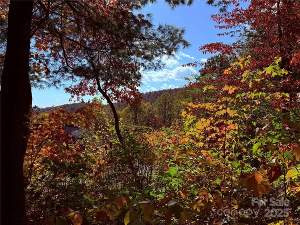 a view of mountain view with lots of trees
