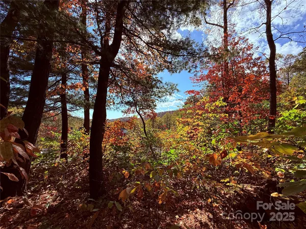 a view of a road with a yard