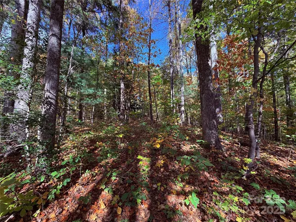 $175,000 | 312 Hollybrook Drive, Unit S1R, Flat Rock, NC 28731