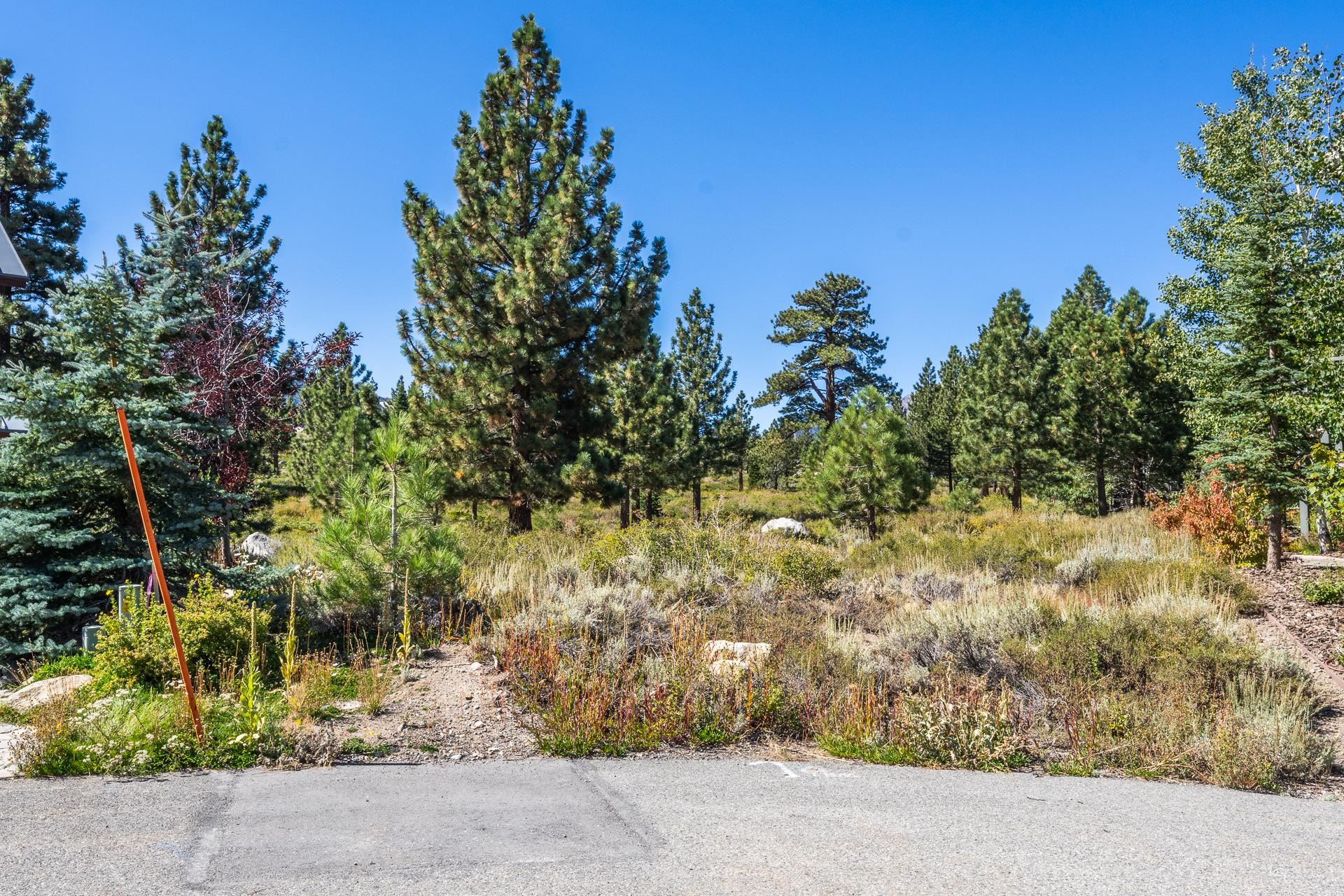 22 Hub Circle Mammoth Lakes, CA 93546 - Photo 12 of 17