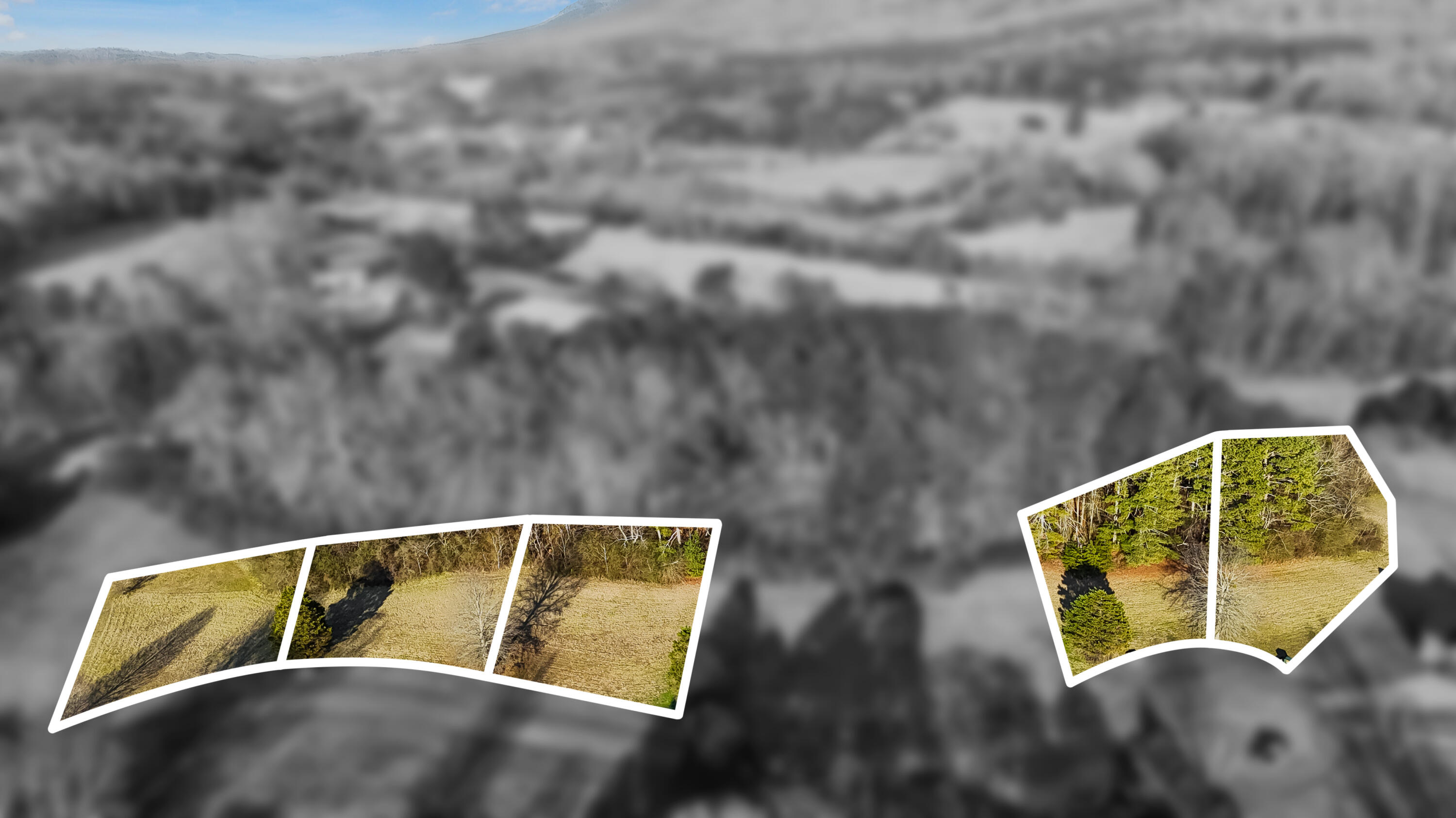 113 Tadpole Lane Benton, TN 37307 - Photo 42 of 48 dji_fly_20260209_164308_0112_17706753395