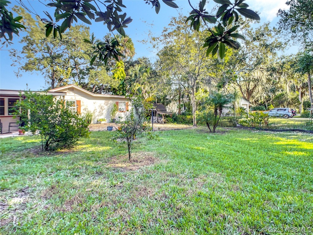 418 North Riverside Drive Edgewater, FL 32132 - Photo 44 of 48 a view of a tree in front of a house