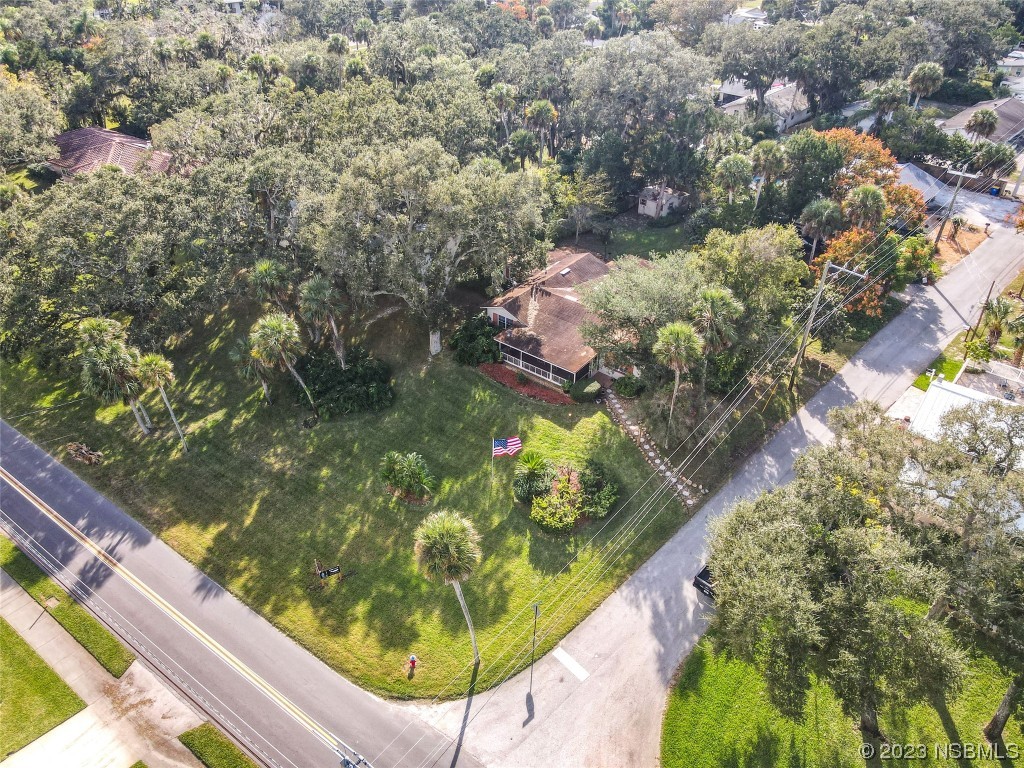 418 North Riverside Drive Edgewater, FL 32132 - Photo 6 of 48 a picture of flowers in a lot