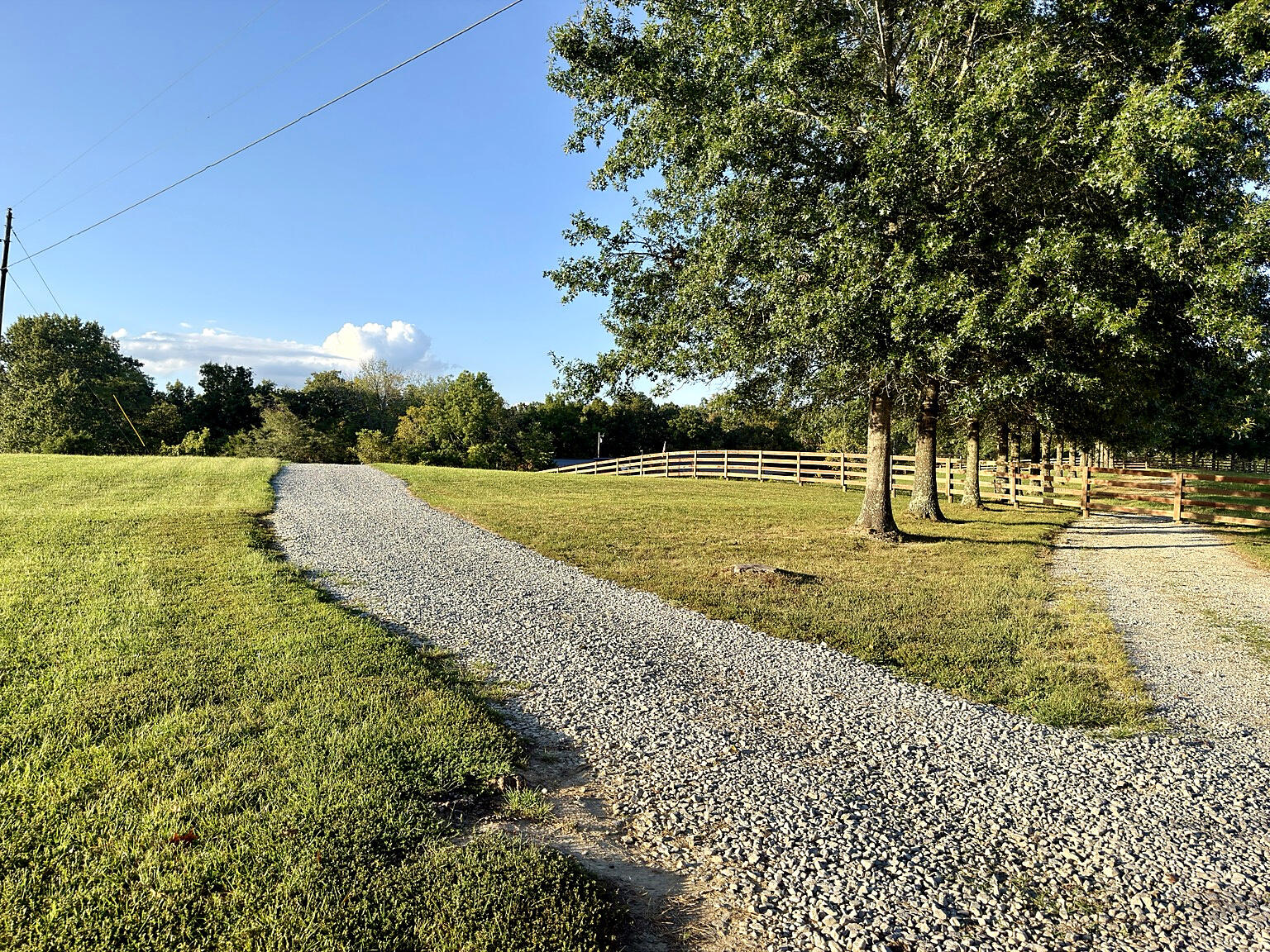 673 Crawford Bend Road Hillsboro, KY 41049 - Photo 17 of 32 Additional Acreage between Crawford Bend Rd. and Home