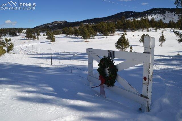 470 Ranger Station Road Guffey, CO 80820 - Photo 5 of 36