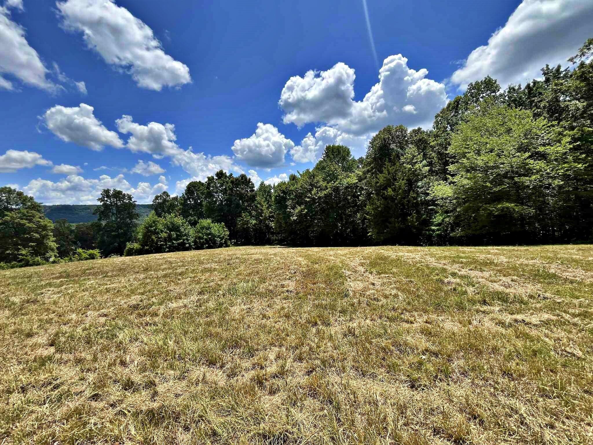 2 Keylon Hollow Road Ten Mile, TN 37880 - Photo 3 of 10