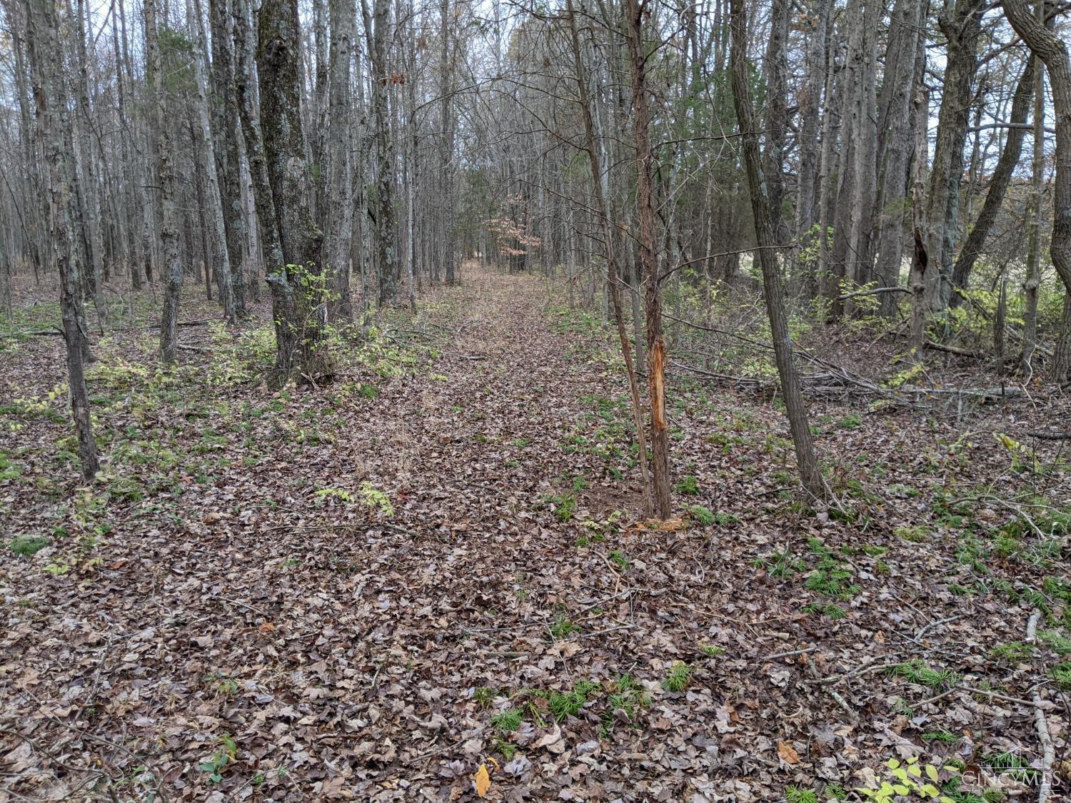Acres Yankeetown Road Hamersville, OH 45130 - Photo 5 of 13