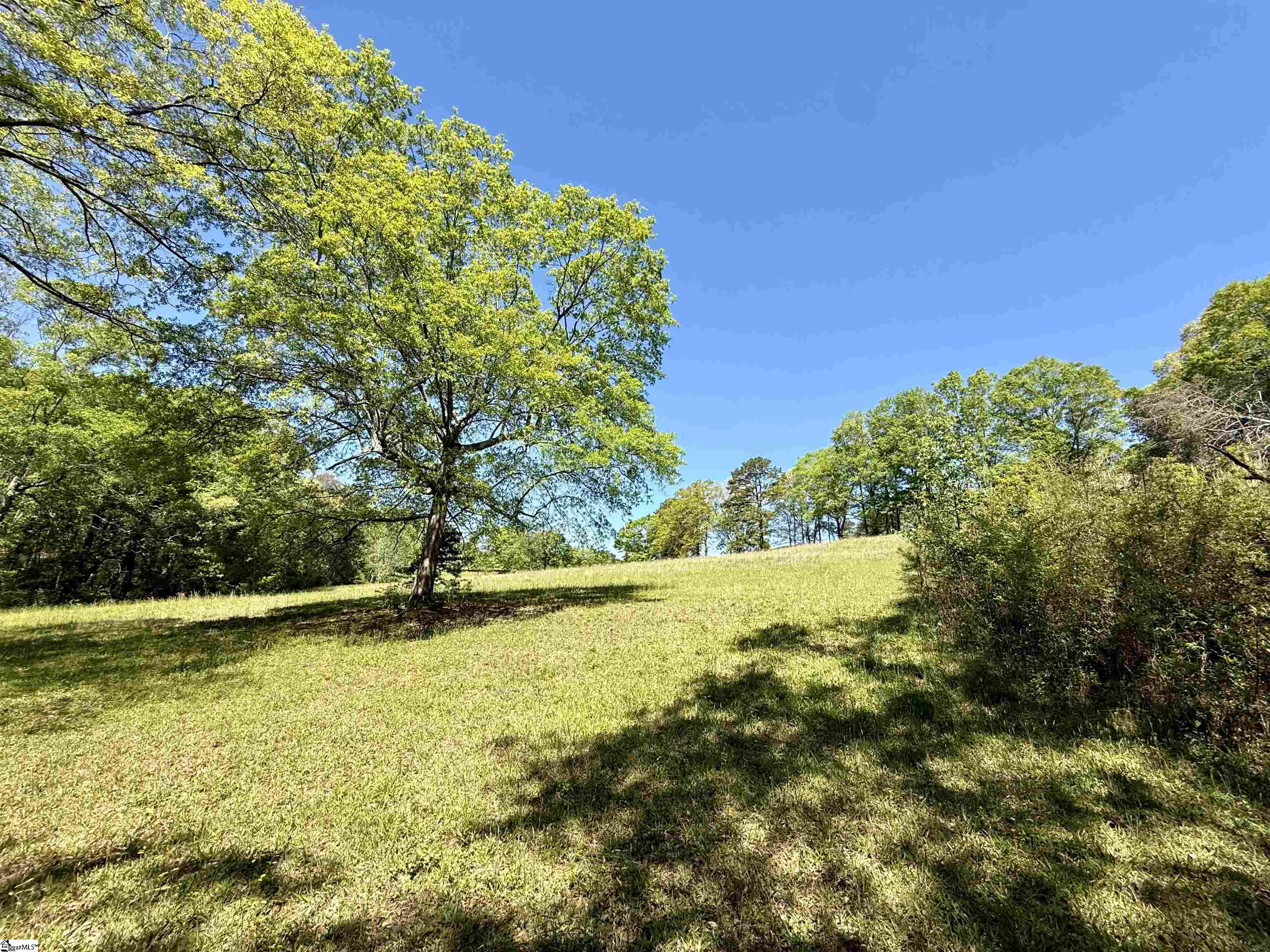 0 Belue Road Greer, SC 29651 - Photo 14 of 15 Gallery Image 14