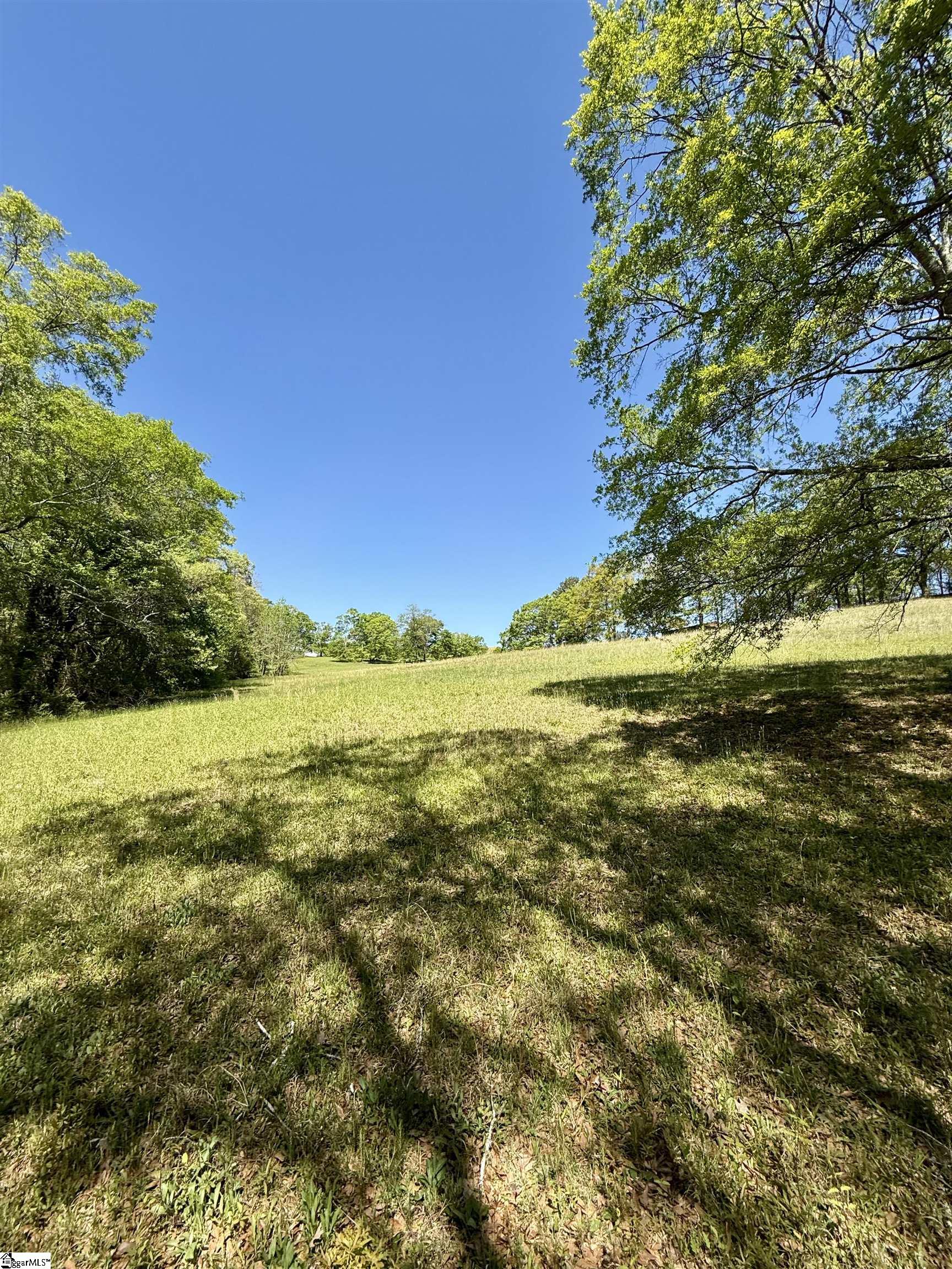 0 Belue Road Greer, SC 29651 - Photo 15 of 15 Gallery Image 15