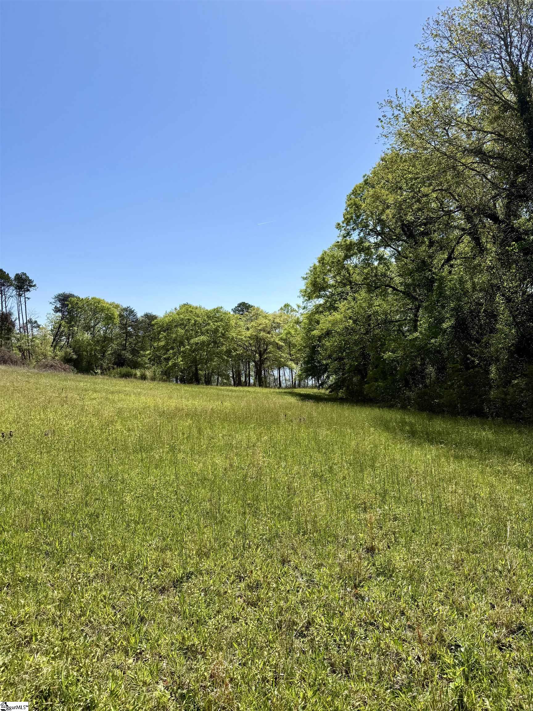 0 Belue Road Greer, SC 29651 - Photo 6 of 15 Gallery Image 6