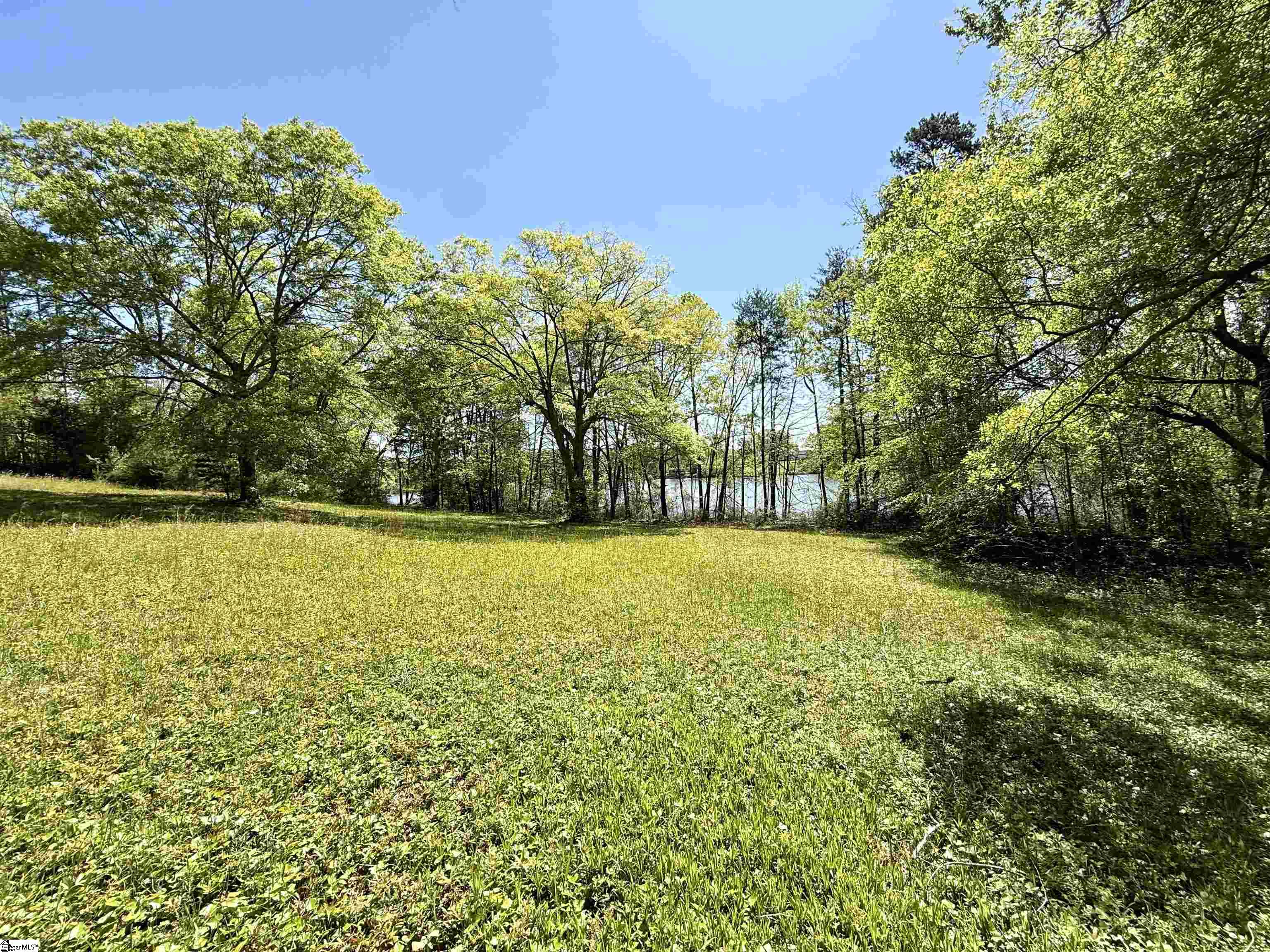 0 Belue Road Greer, SC 29651 - Photo 7 of 15 Gallery Image 7