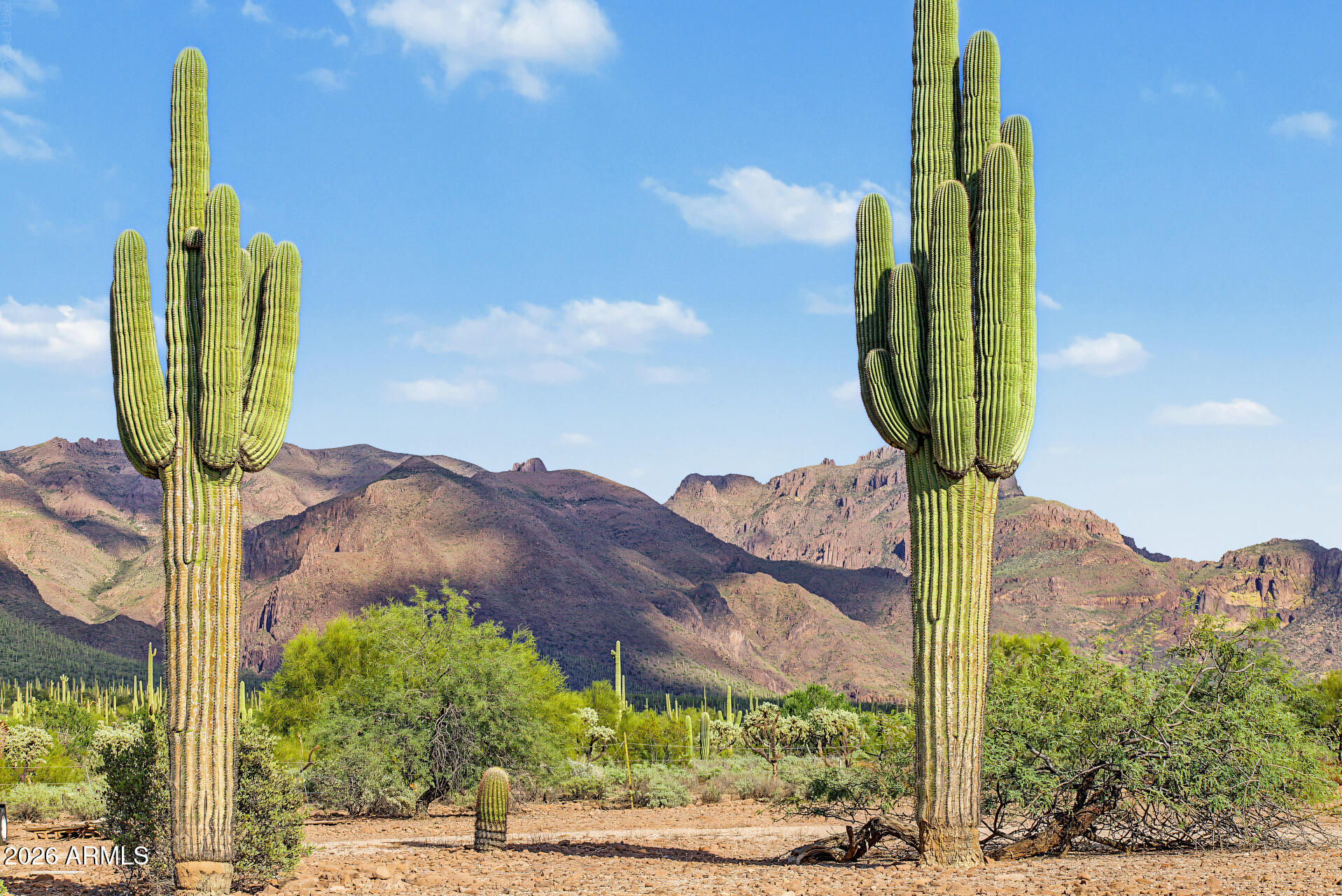 685 South Holmes Road Apache Junction, AZ 85119 - Photo 40 of 61 42-Holmes