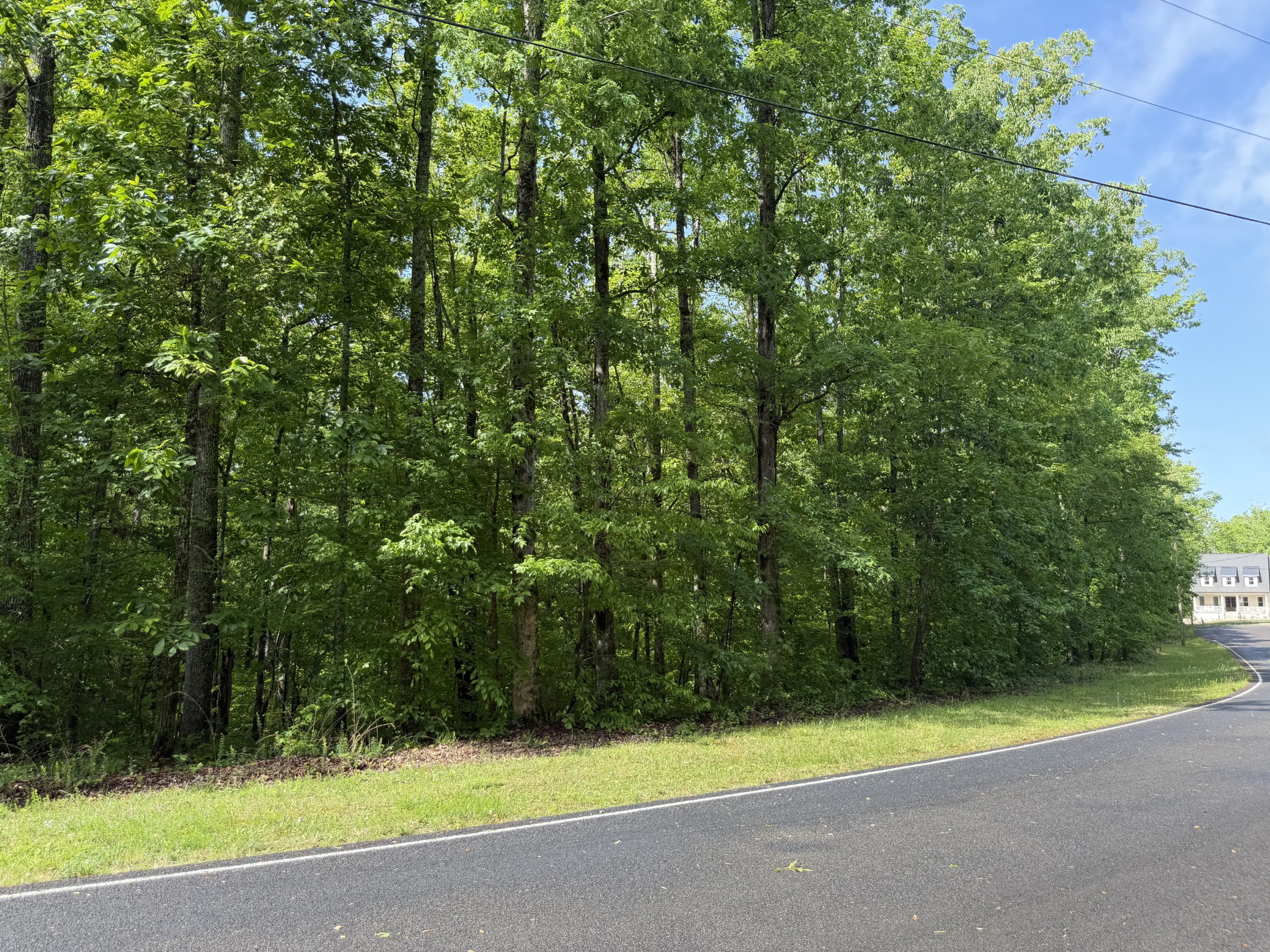 0 Inland Court Sparta, TN 38583 - Photo 8 of 8 a view of a yard with a trees