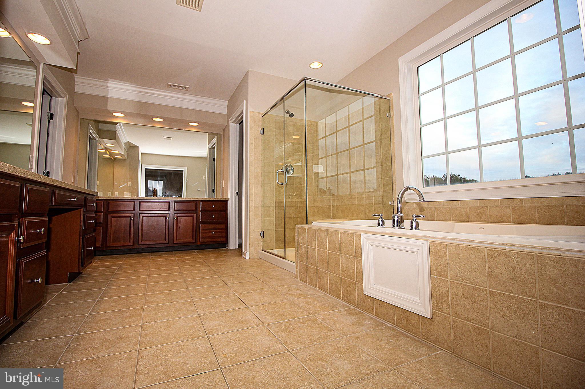 215 Hopkins Road Mickleton, NJ 08056 - Photo 30 of 42 Master bath
