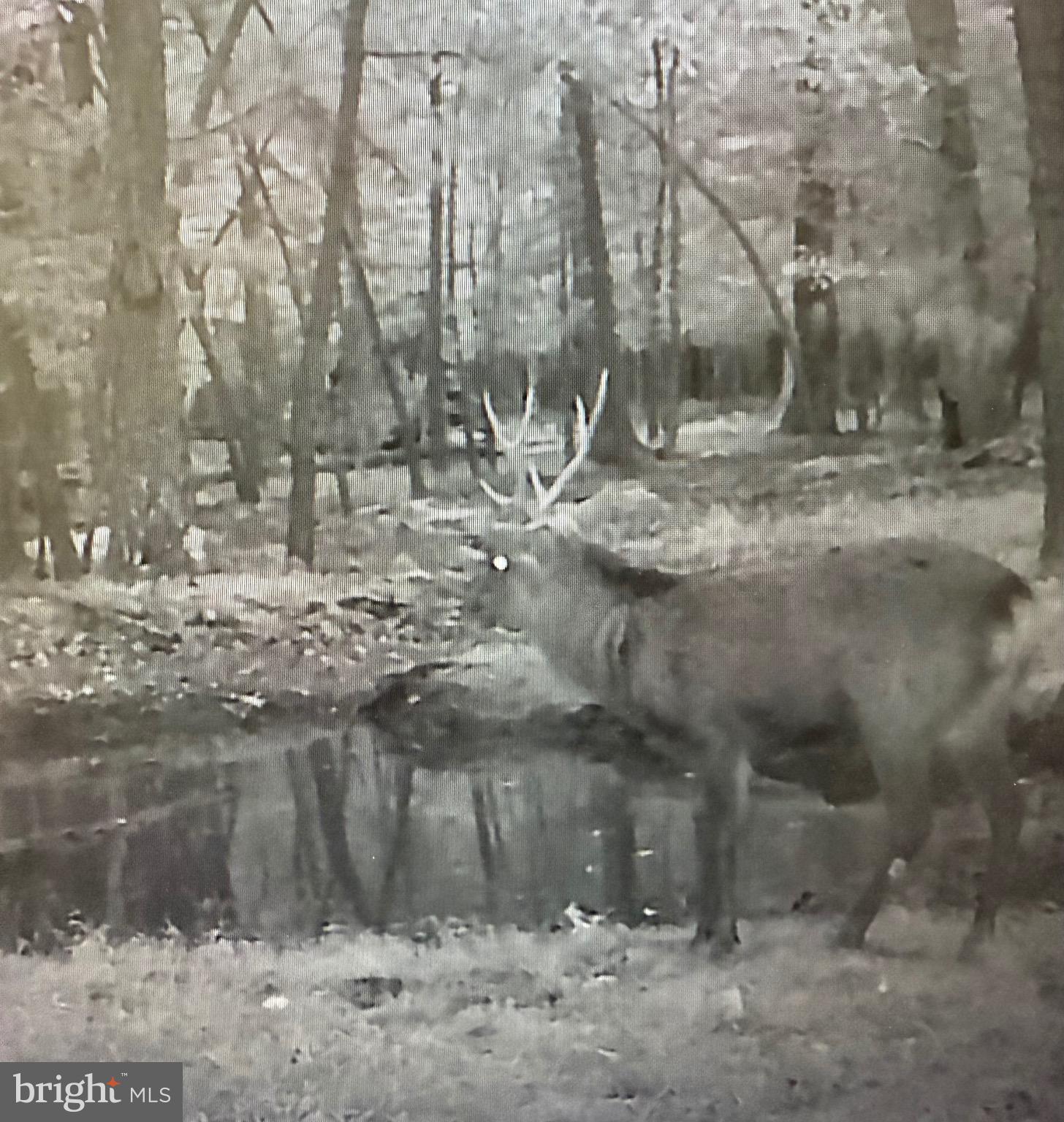 0 Hooper Neck Road Madison, MD 21648 - Photo 116 of 129
