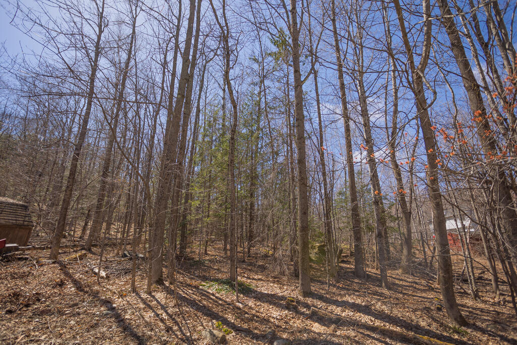 9 Maxwell Road Temple, ME 04984 - Photo 42 of 43 sandyriverrealty-40