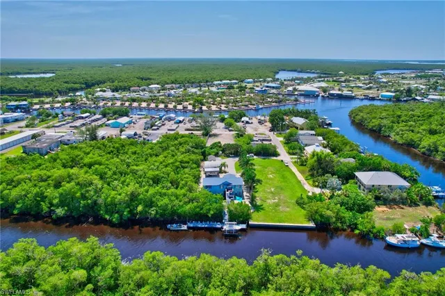 an aerial view of residential houses with outdoor space and trees