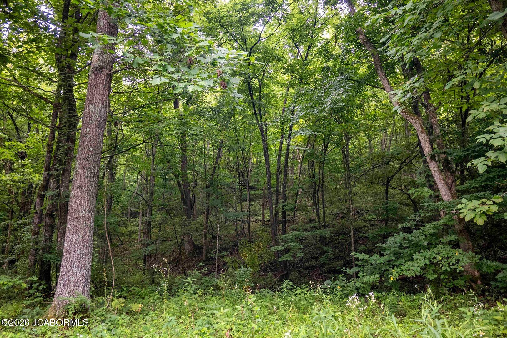 Tbd Talley Road Hartsburg, MO 65039 - Photo 58 of 106