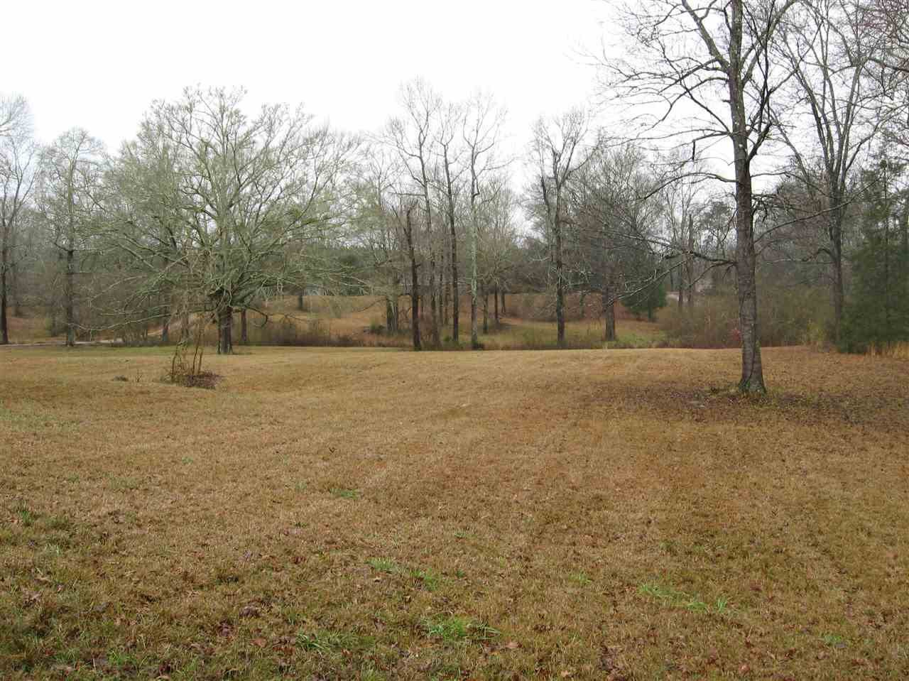 1473 Timberidge Road Terry, MS 39170 - Photo 6 of 7 Photo 6