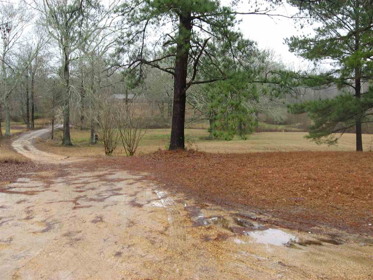 1473 Timberidge Road Terry, MS 39170 - Photo 7 of 7 Photo 7