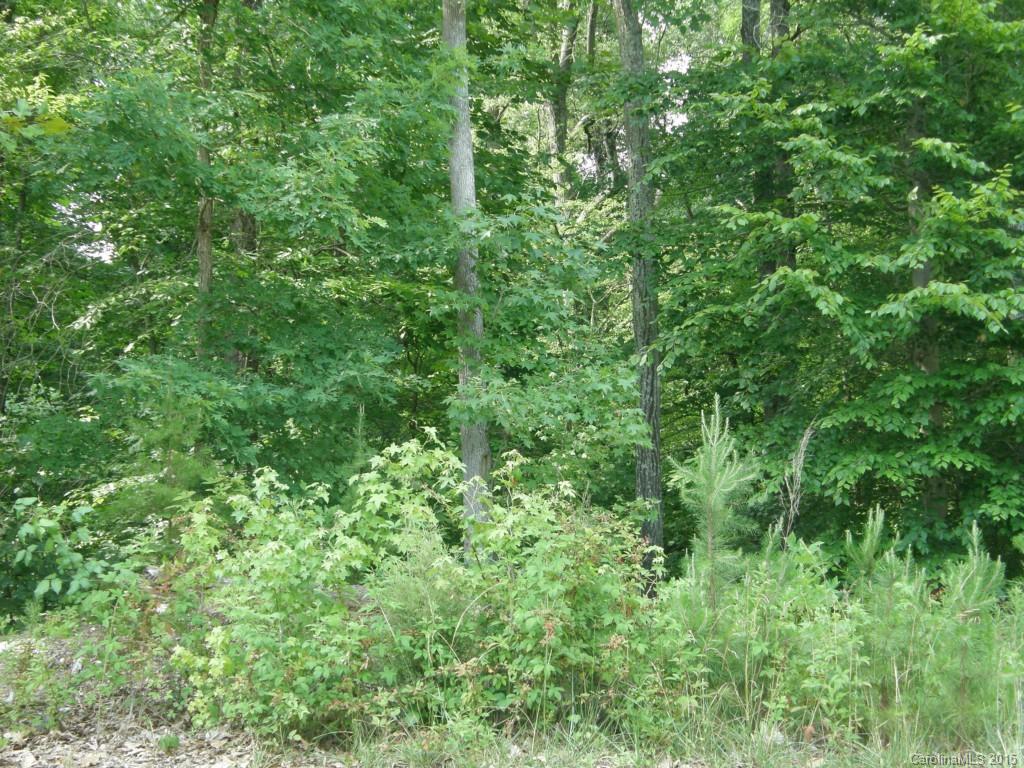 313 Stone Ridge Drive Salisbury, NC 28146 - Photo 4 of 9 Gallery Image 4