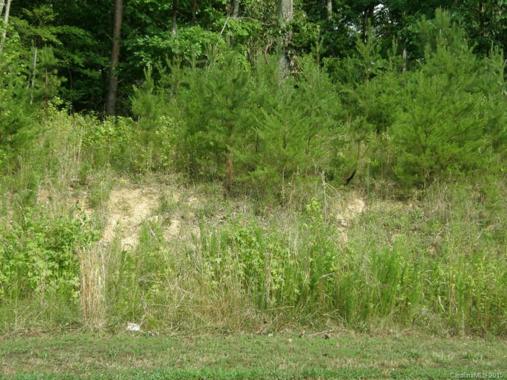 313 Stone Ridge Drive Salisbury, NC 28146 - Photo 6 of 9 Gallery Image 6