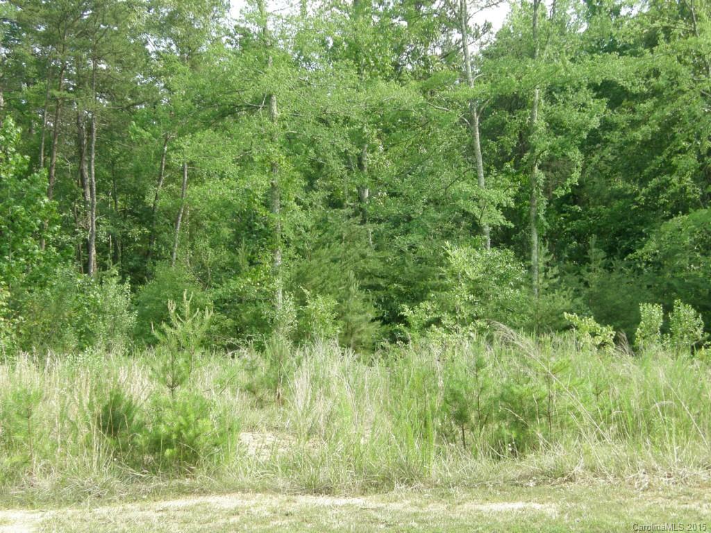 313 Stone Ridge Drive Salisbury, NC 28146 - Photo 7 of 9 Gallery Image 7