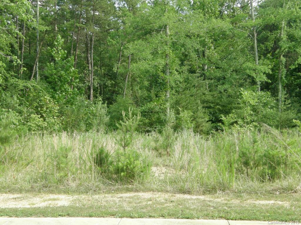 313 Stone Ridge Drive Salisbury, NC 28146 - Photo 8 of 9 Gallery Image 8