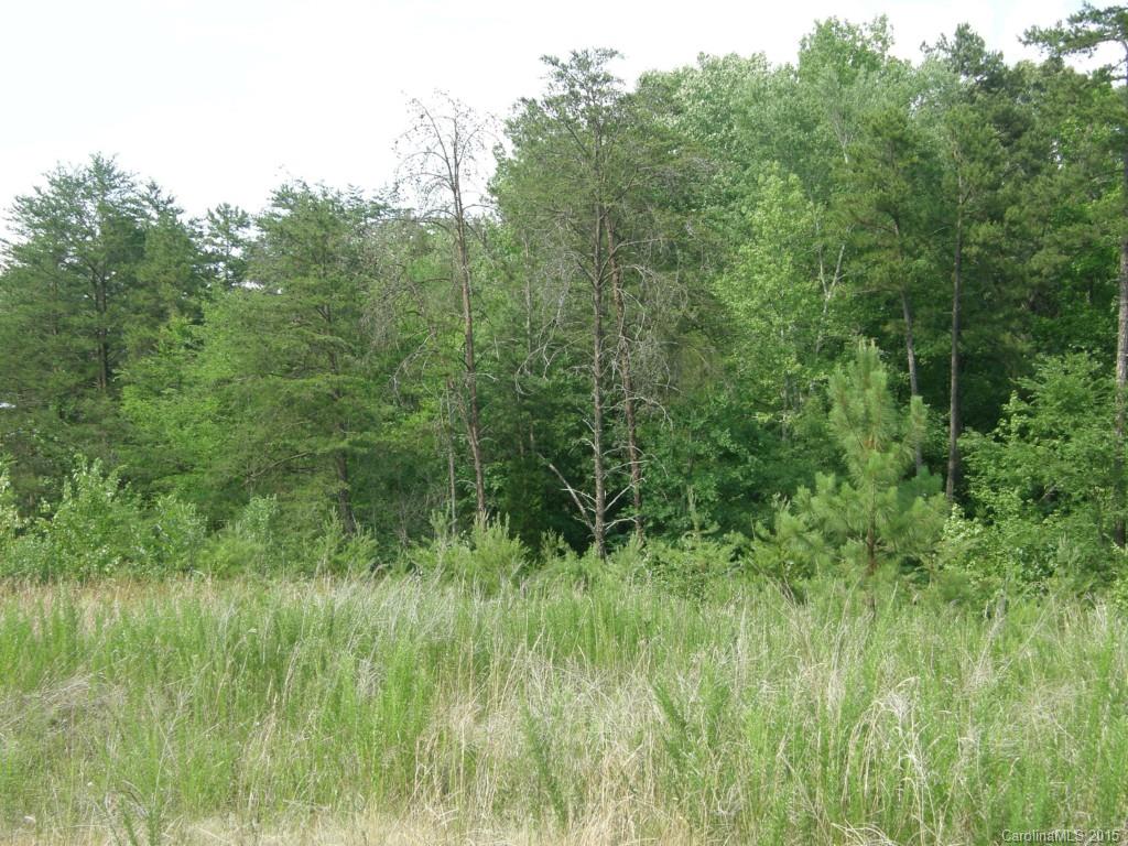 313 Stone Ridge Drive Salisbury, NC 28146 - Photo 9 of 9 Gallery Image 9