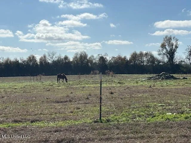 $330,000 | 231 Laird Pittman Road, Tylertown, MS 39667