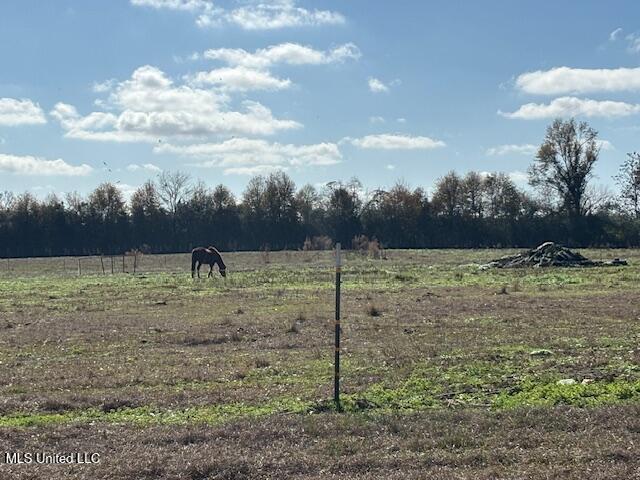 231 Laird Pittman Road Tylertown, MS 39667 - Photo 11 of 47 IMG_6929