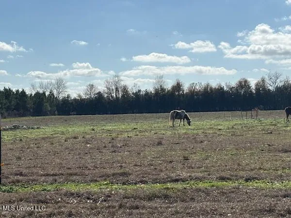 $330,000 | 231 Laird Pittman Road, Tylertown, MS 39667