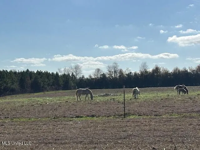 $330,000 | 231 Laird Pittman Road, Tylertown, MS 39667