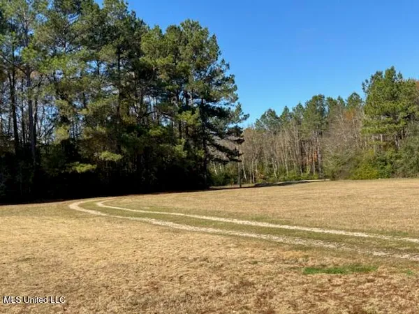 $330,000 | 231 Laird Pittman Road, Tylertown, MS 39667