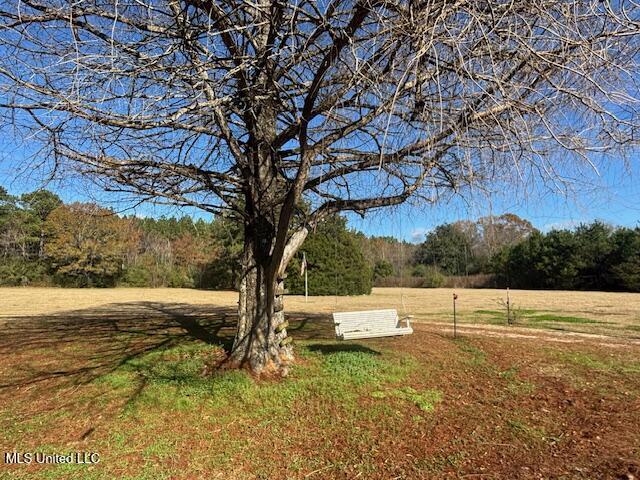 231 Laird Pittman Road Tylertown, MS 39667 - Photo 15 of 47 IMG_6937