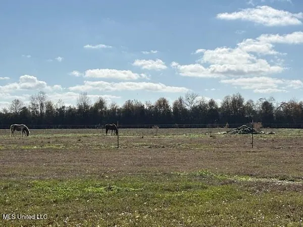 $330,000 | 231 Laird Pittman Road, Tylertown, MS 39667