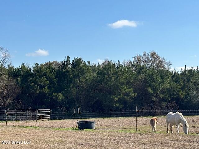 231 Laird Pittman Road Tylertown, MS 39667 - Photo 9 of 47 IMG_6927