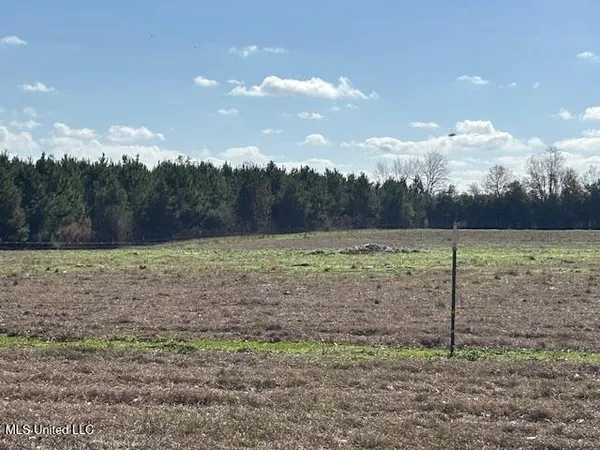 $330,000 | 231 Laird Pittman Road, Tylertown, MS 39667