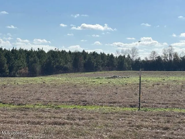$330,000 | 231 Laird Pittman Road, Tylertown, MS 39667