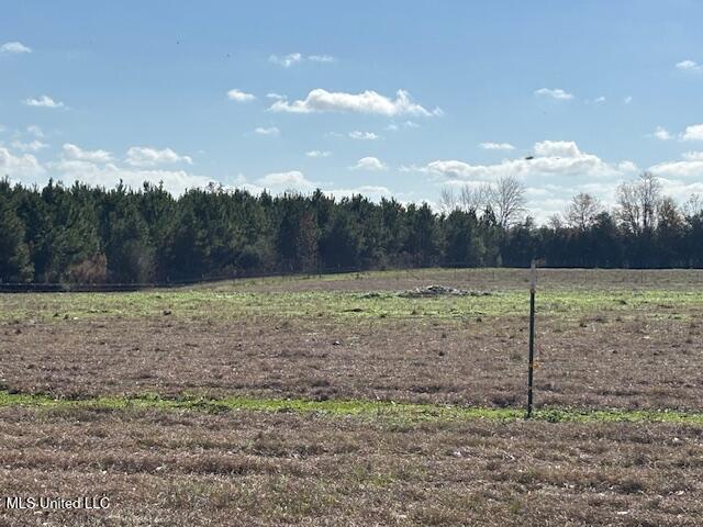 231 Laird Pittman Road Tylertown, MS 39667 - Photo 10 of 47 IMG_6928