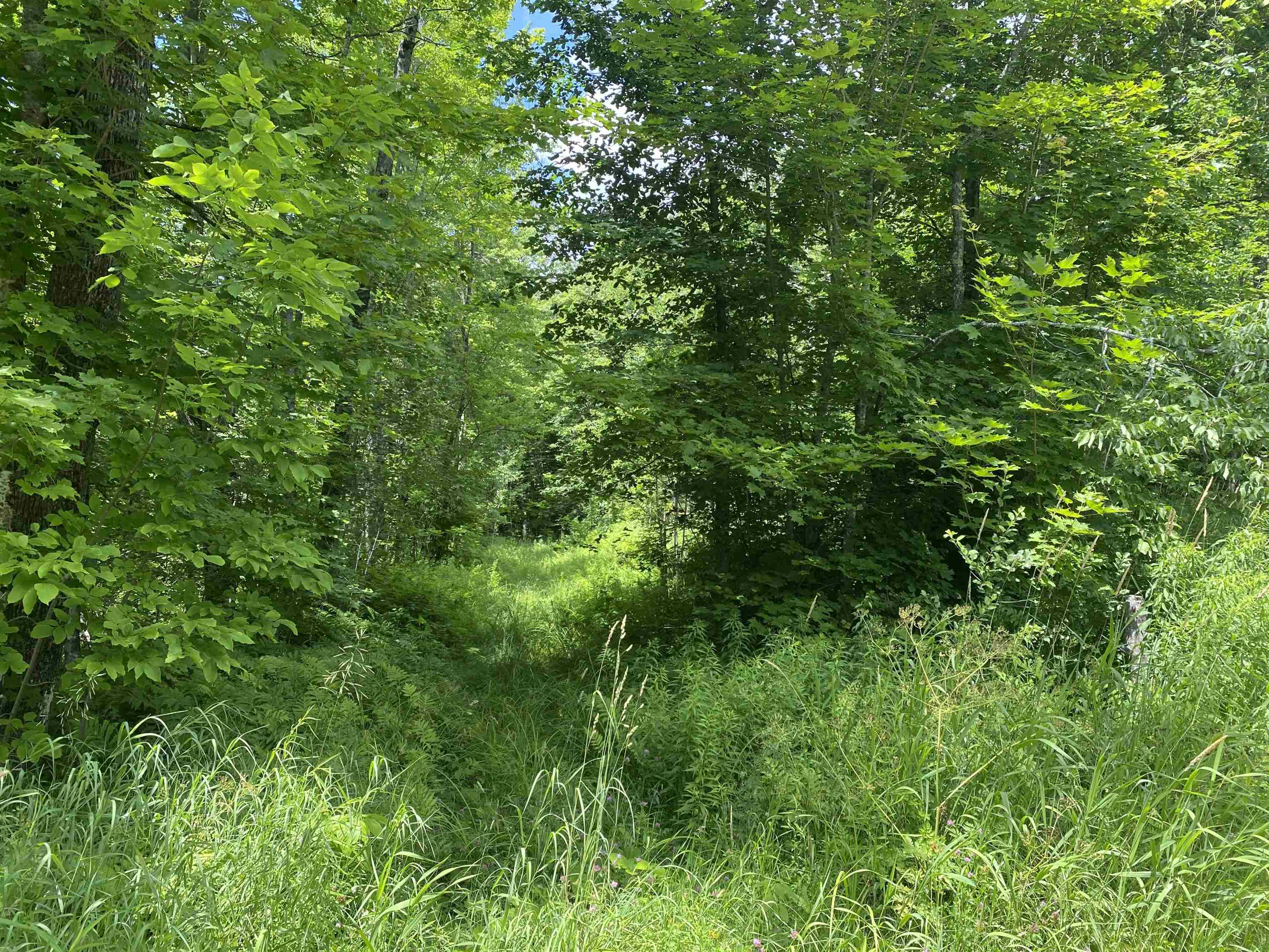 540 Shampeny Hill Road Hancock, VT 05748 - Photo 21 of 23