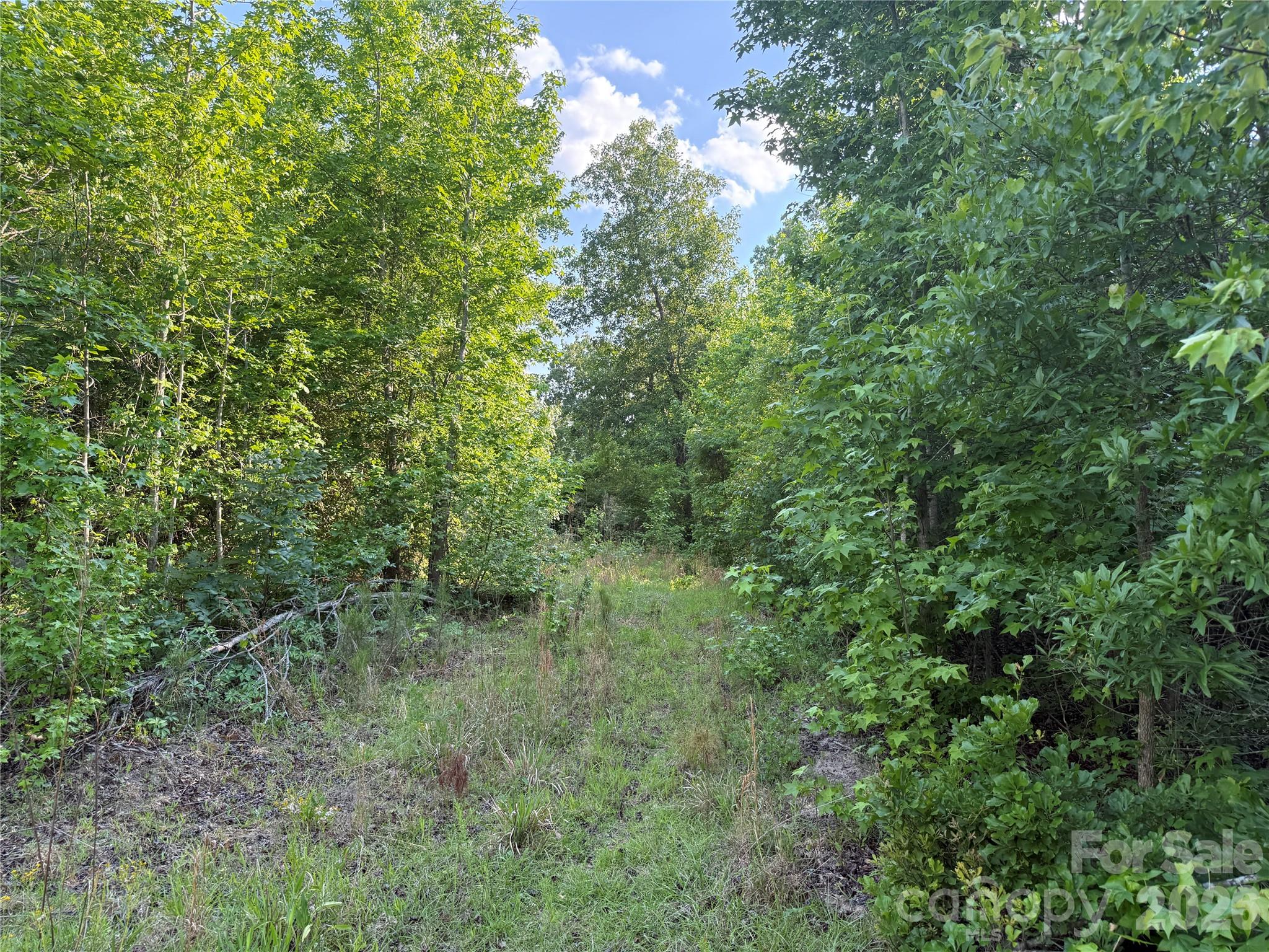 Tbd Murray Manor Lane Rockingham, NC 28379 - Photo 13 of 20