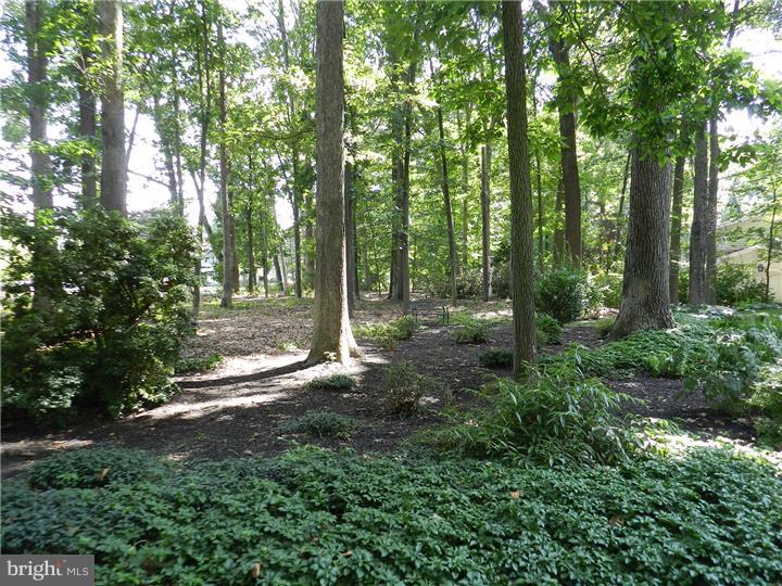 782 Spring Valley Road Doylestown, PA 18901 - Photo 22 of 22 Gallery Image 22