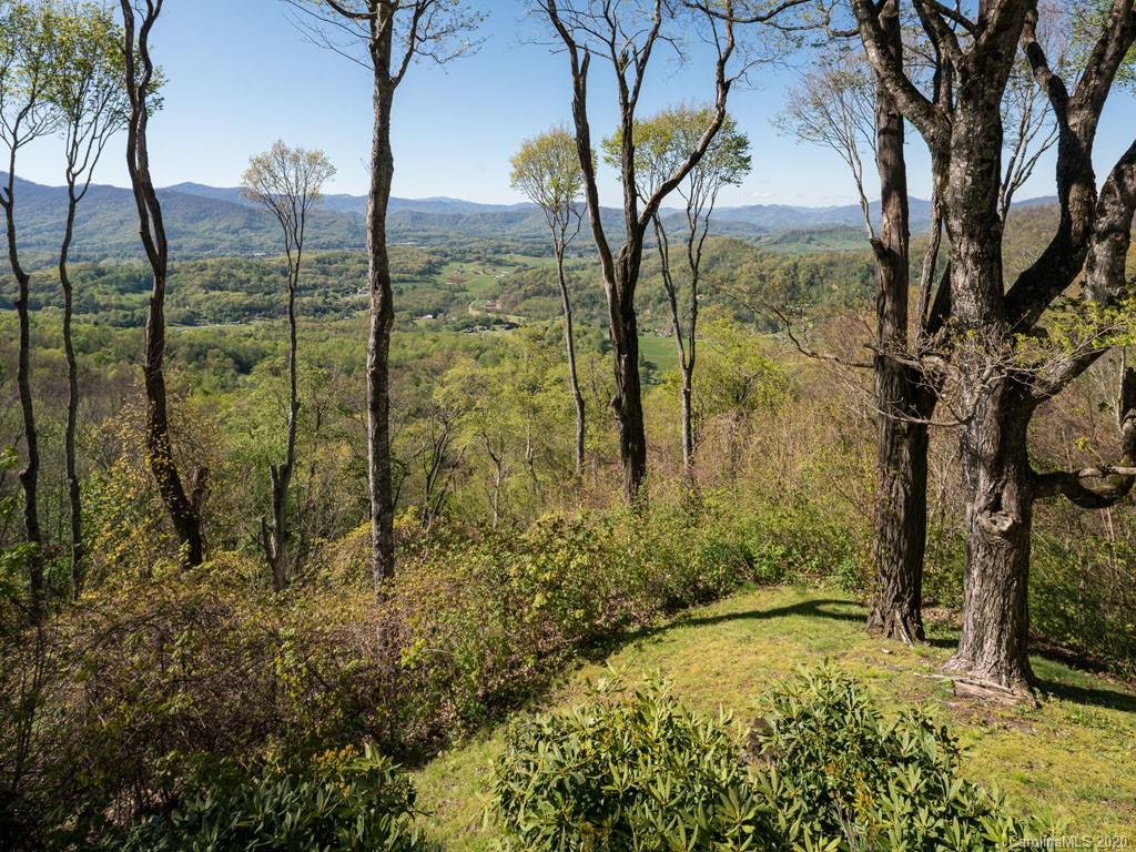 113 Goodson Springs Road Waynesville, NC 28786 - Photo 40 of 47 Gallery Image 40