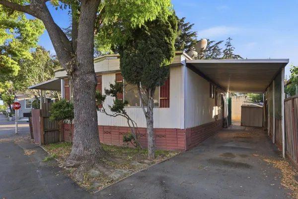 a view of a house with a tree and flower plants