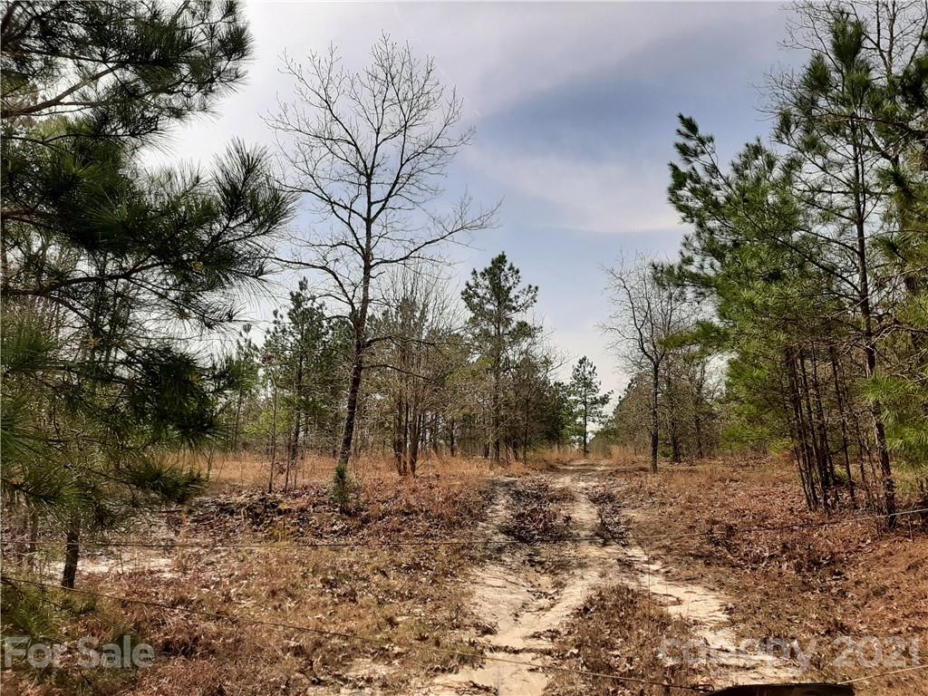 1359 Jones Road Kershaw, SC 29067 - Photo 1 of 4 Gallery Image 1