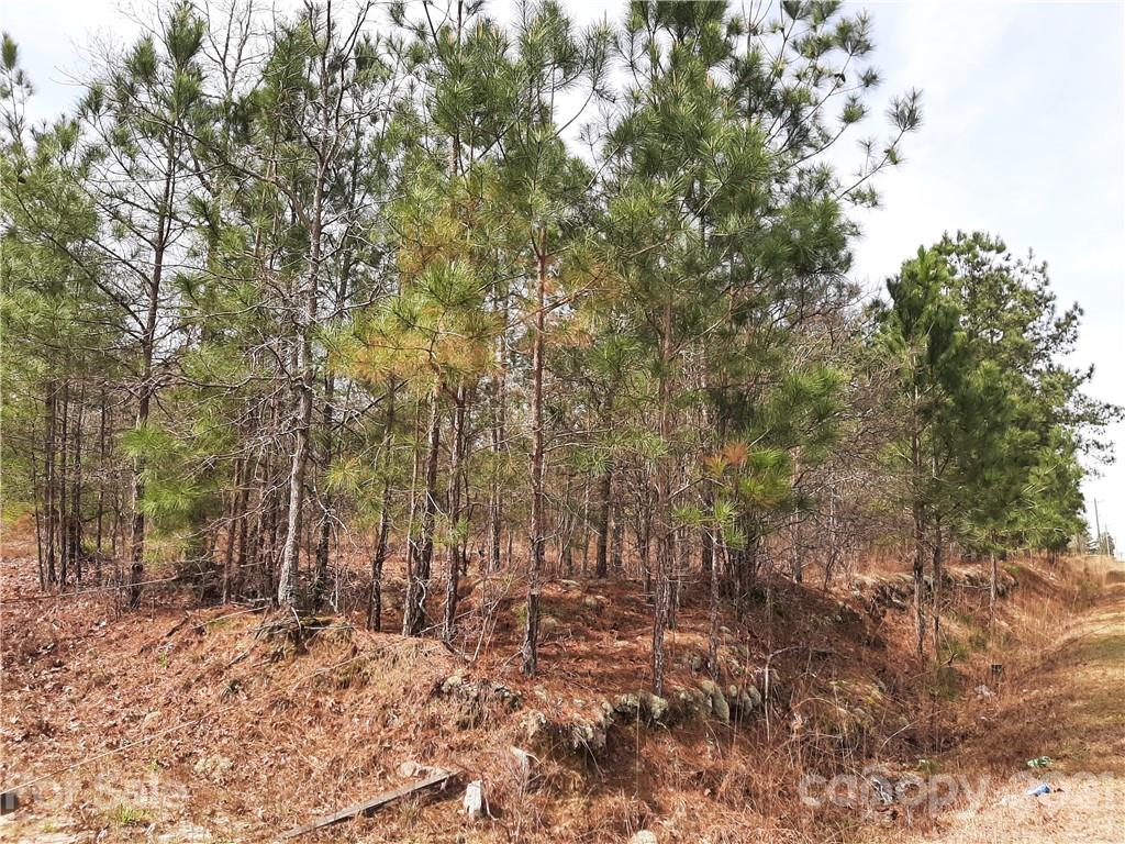1359 Jones Road Kershaw, SC 29067 - Photo 2 of 4 Gallery Image 2